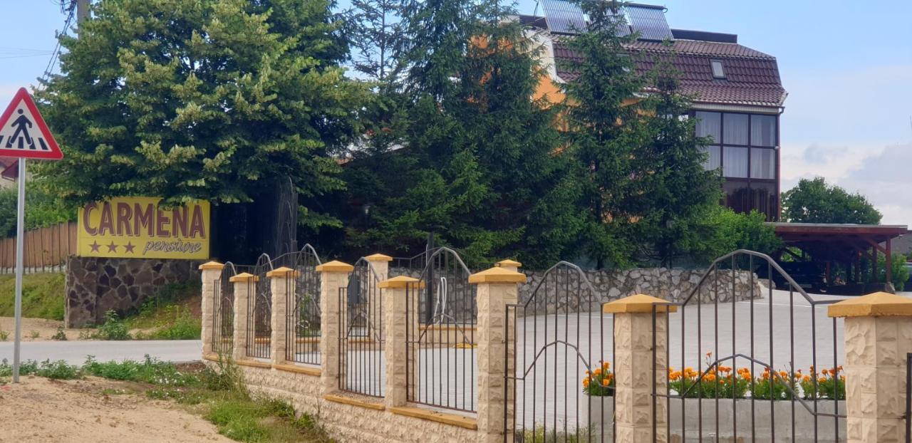 Pensiunea Carmena Băile Felix エクステリア 写真