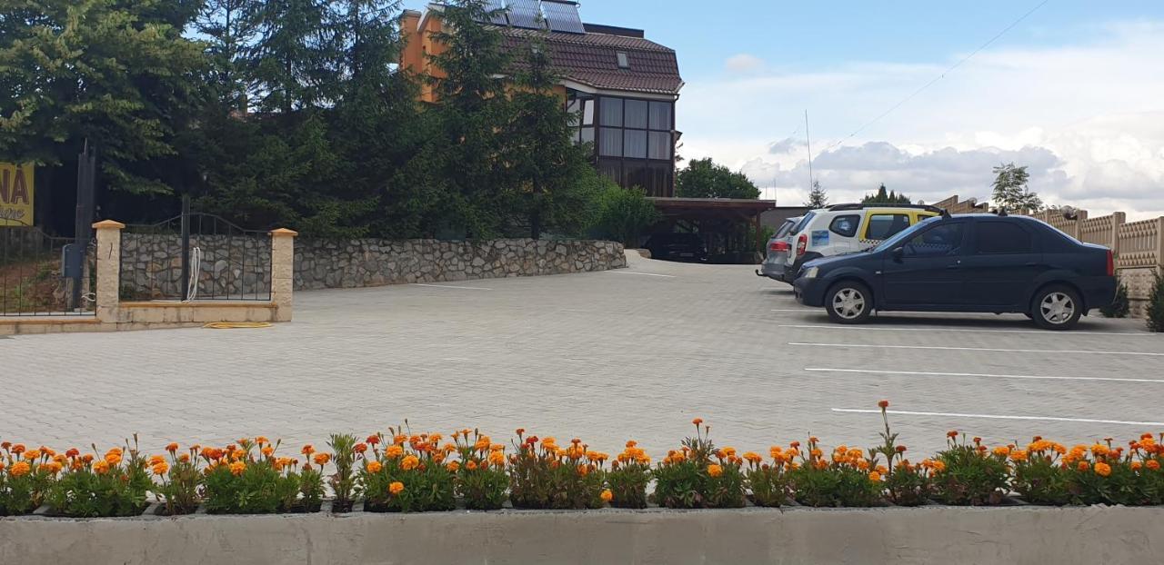 Pensiunea Carmena Băile Felix エクステリア 写真
