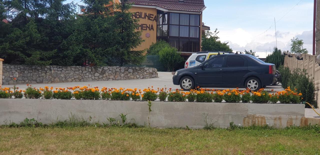 Pensiunea Carmena Băile Felix エクステリア 写真