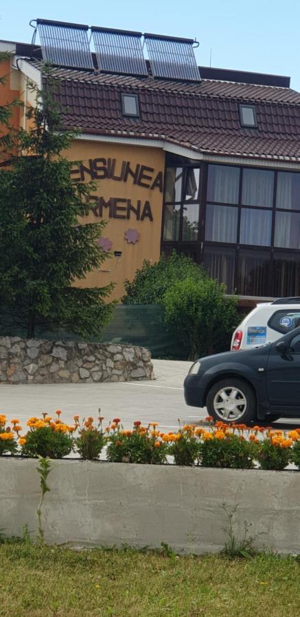 Pensiunea Carmena Băile Felix エクステリア 写真