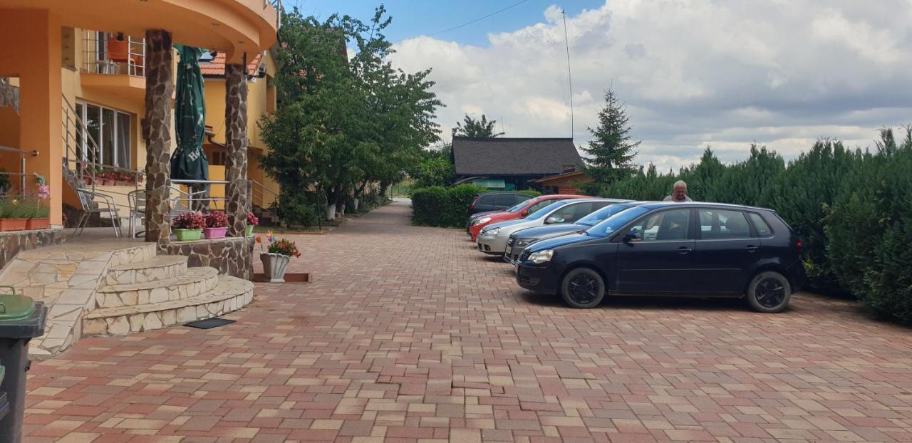Pensiunea Carmena Băile Felix エクステリア 写真