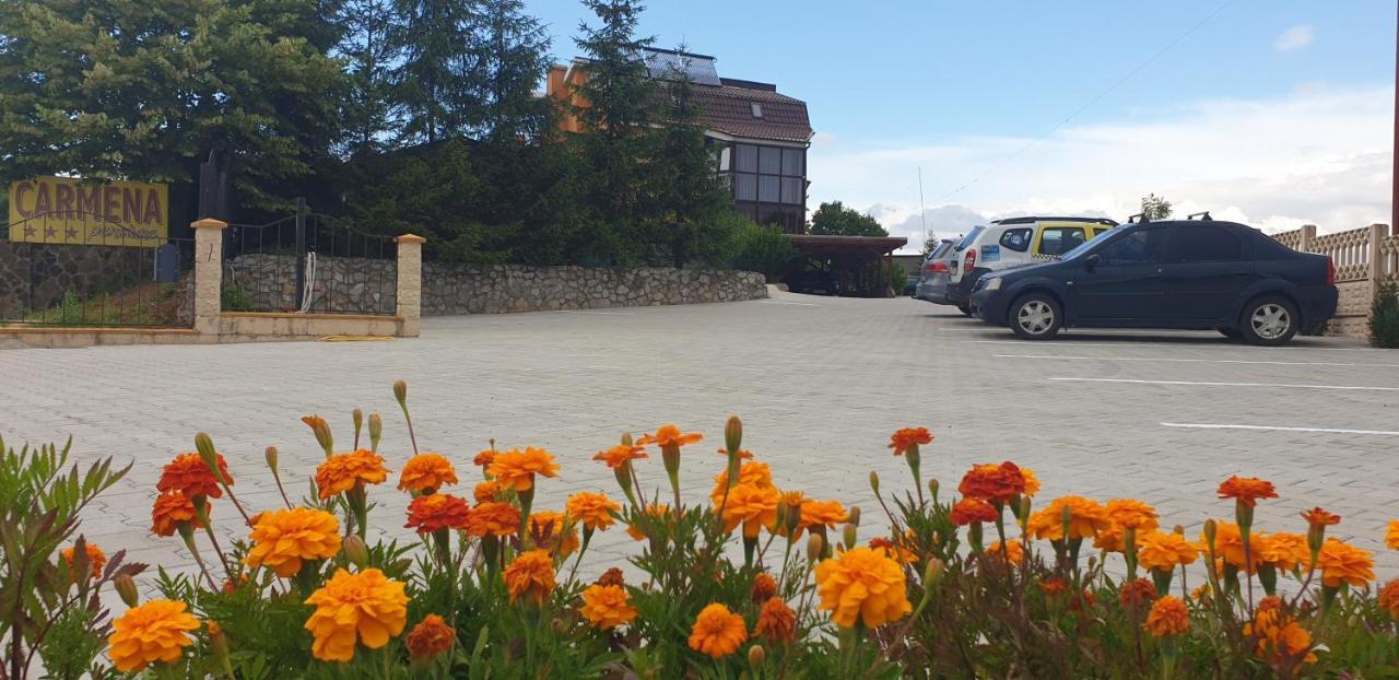 Pensiunea Carmena Băile Felix エクステリア 写真