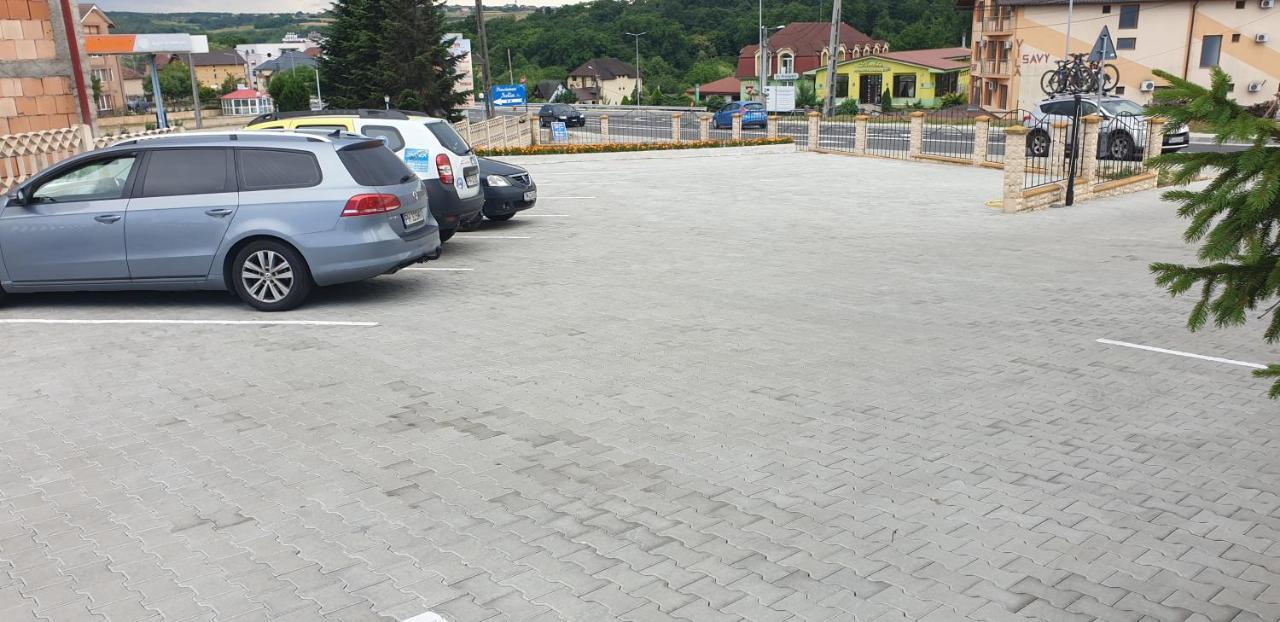 Pensiunea Carmena Băile Felix エクステリア 写真