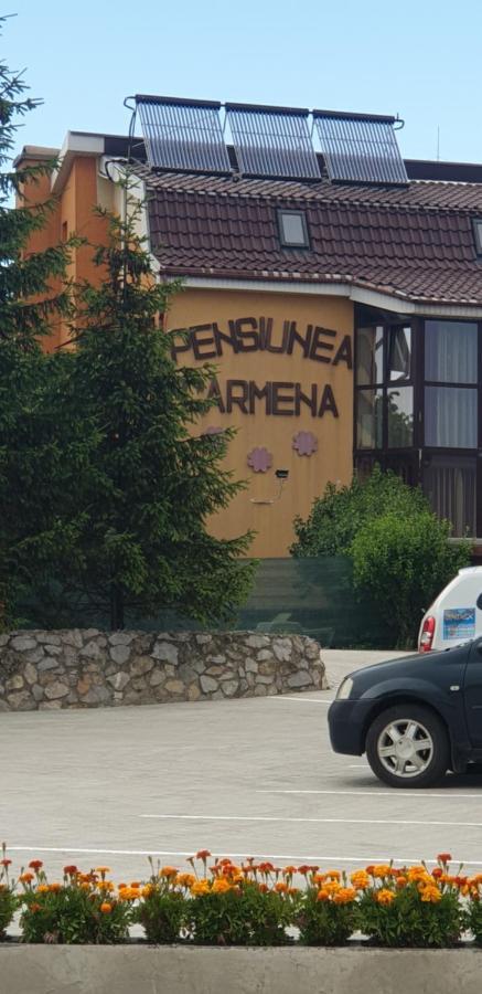 Pensiunea Carmena Băile Felix エクステリア 写真